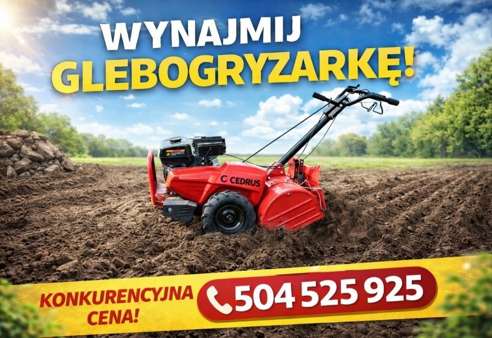 Glebogryzarka z napędem wynajem badz wykonanie usługi.