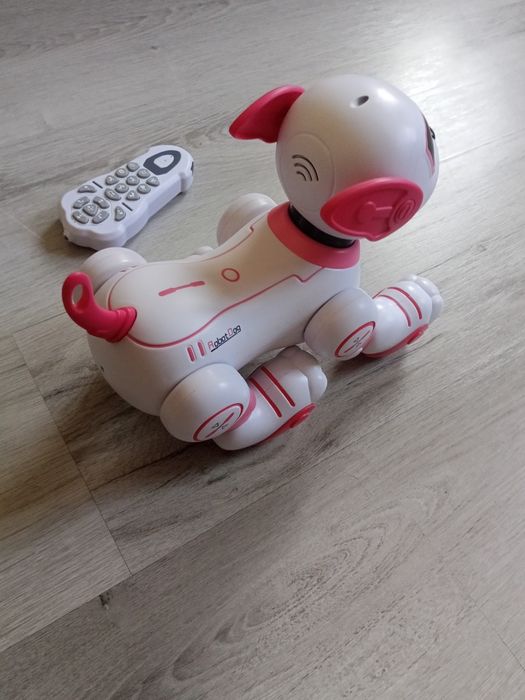 Pies robot dla dzieci