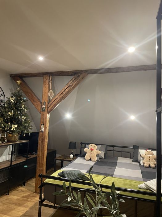 Apartament Loft  103  do wynajecia