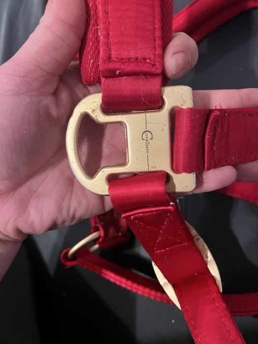 Kantar dla konia czerwony  nowy