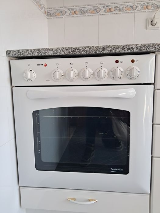 Forno, placa e exaustor Fagor