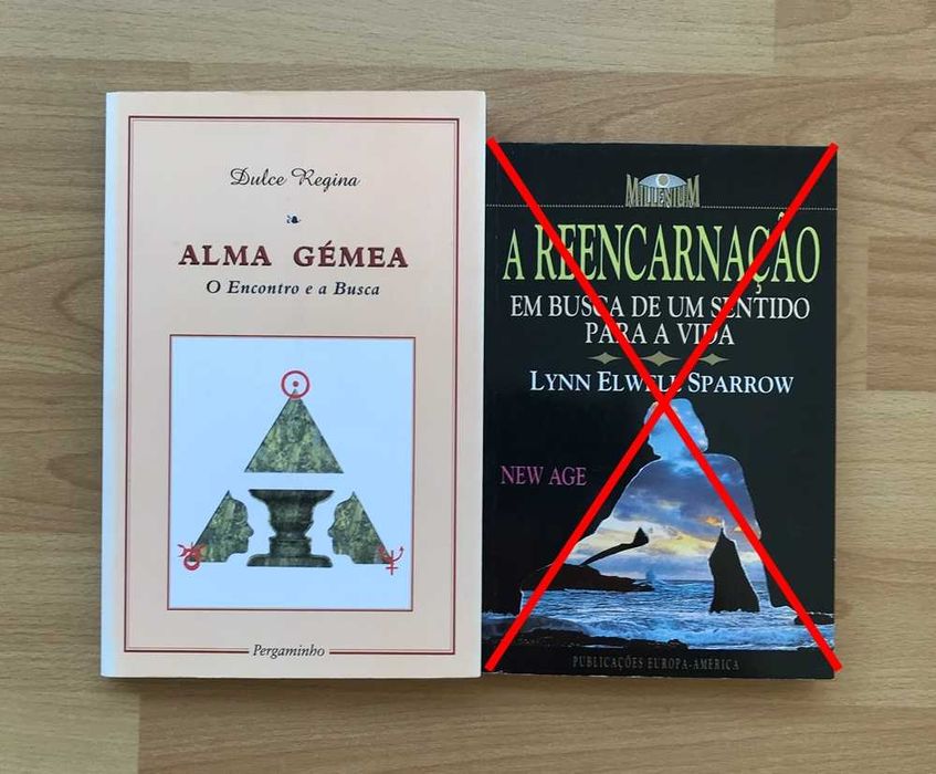Livros auto ajuda desenvolvimento pessoal Dulce Regina