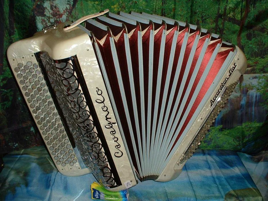 Promoção de Acordeões de concertinas