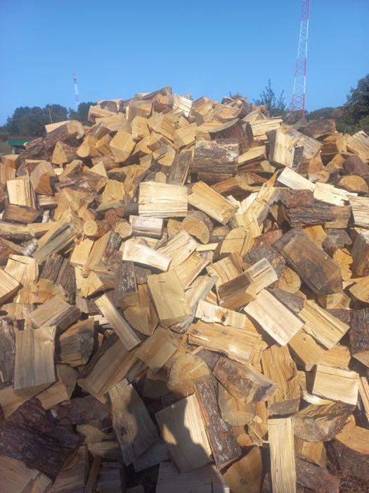 Drewno opalowe sosna 1 zl