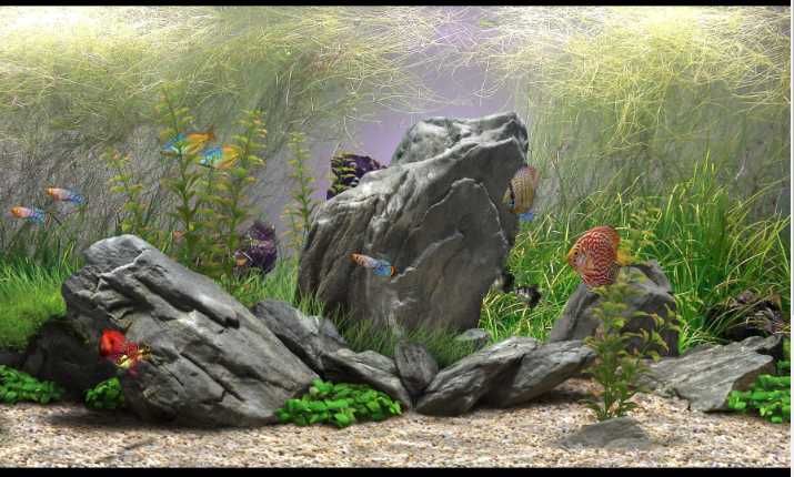 Кварцовий  обкатаний грунт для аквариума . Фракция 5-10 мм 5 кг