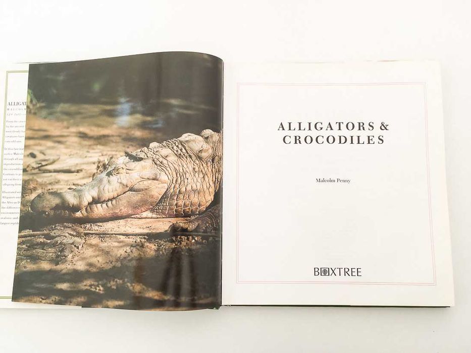 Alligators & Crocodiles