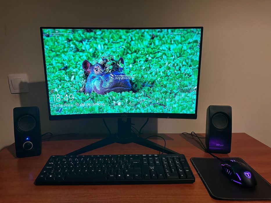 Pack Monitor AOC curvo, Rato Trust, Teclado standard, e Torre Gaming