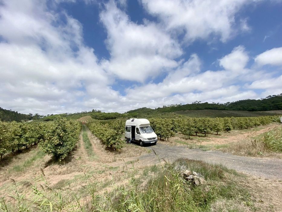 Autocaravana Westfalia James Cook 1999