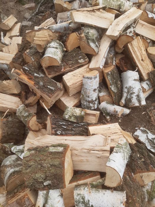 Drewno kominkowe brzoza