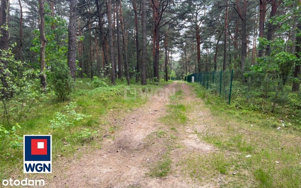 Działka, Zaborze