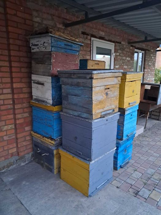 Продаються вулики (вживані)