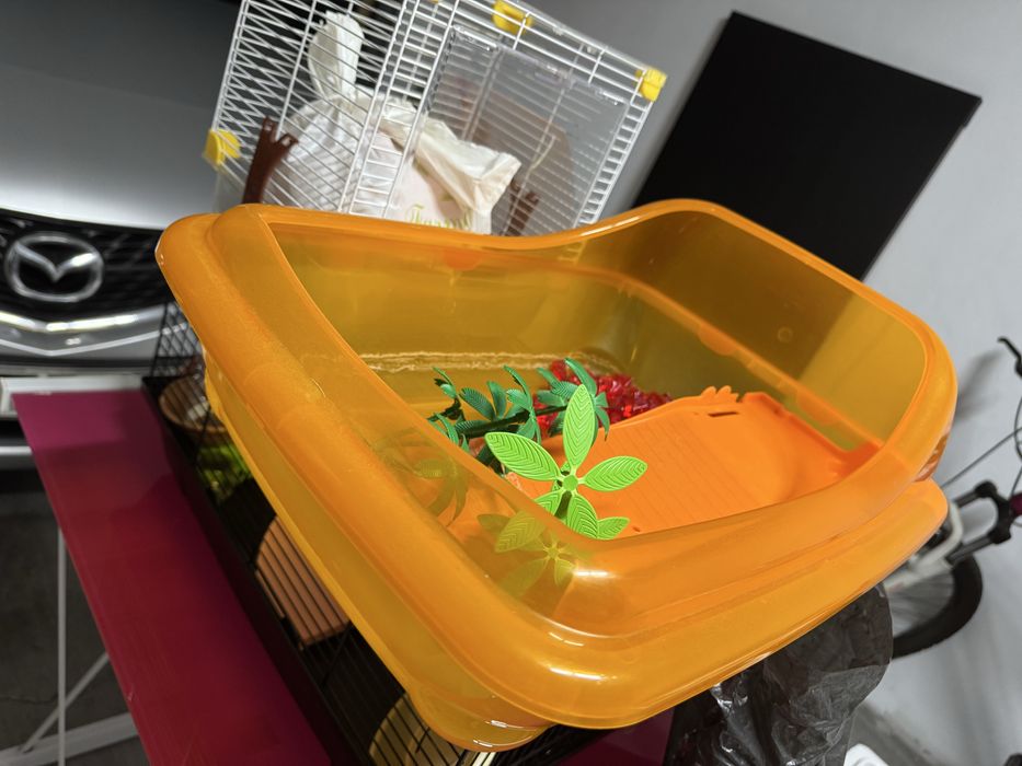 Casotas de hamster e Aquário para tartaruga