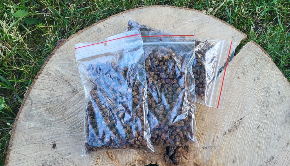 Pierzga Pszczela 100 gram