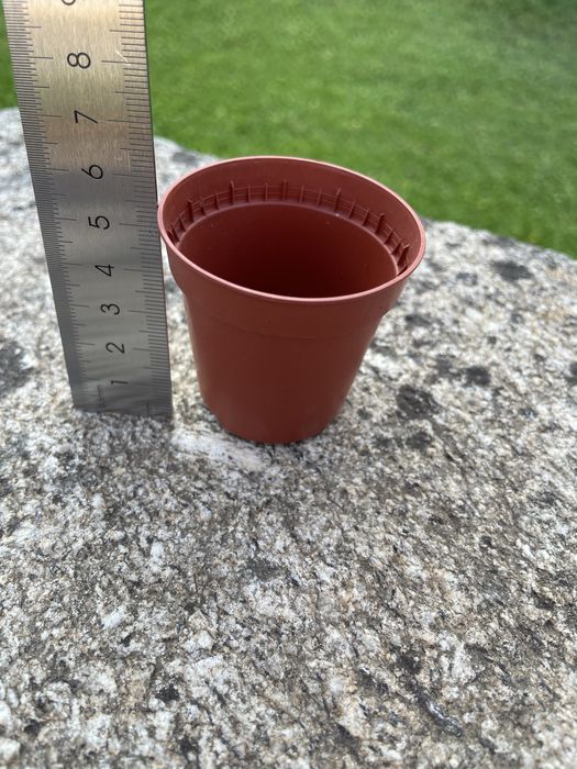 Conjunto de 50 vasos de plástico 5,5 cm.