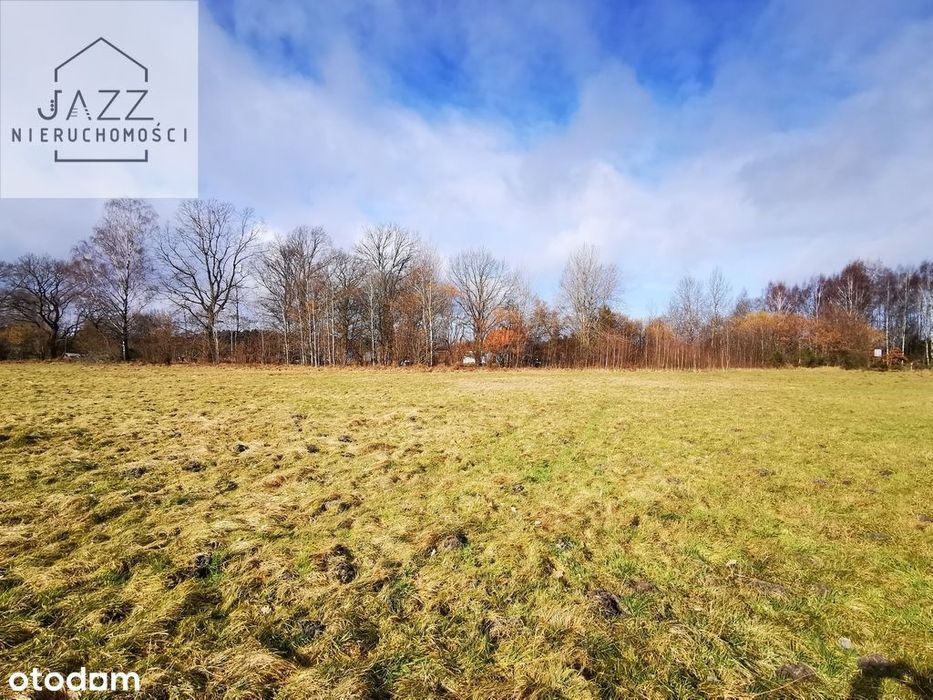 Działka usługowa w Sasinie 3500m2