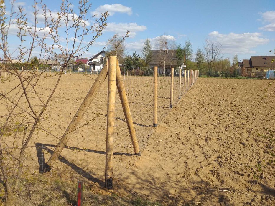 ogrodzenie budowlane tymczasowe  leśne pola upraw siatka leśna