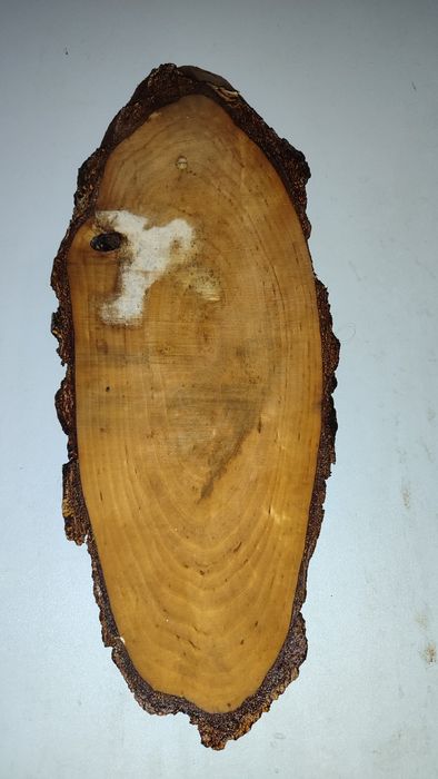 Картина на срезе берёзы Олень. Продажа или обмен.