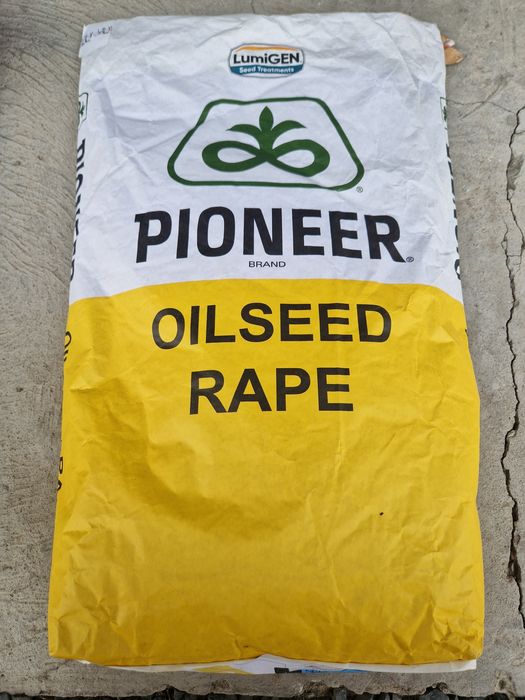 Nasiona rzepaku piooner pt275 okazja lumpiposa lumidapt