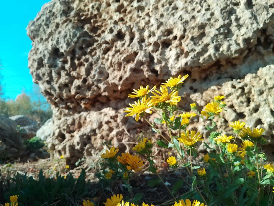 Валуны для ландшафта.