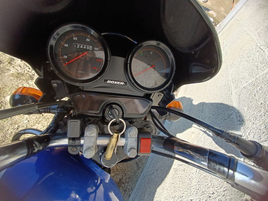 Продам баджач боксер 150