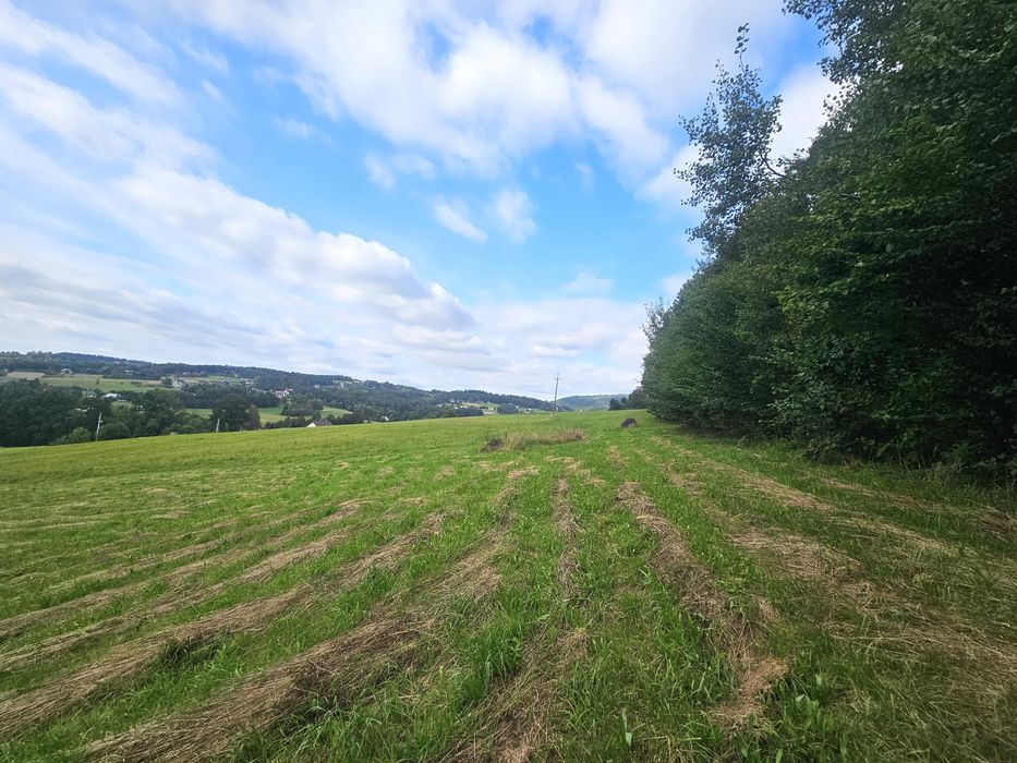 Widokowa działka budowlana z mediami na skraju lasu 10 arów