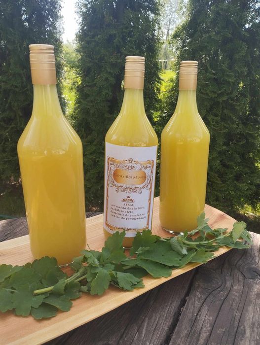 Kwas Bołotowa 4l (1 etap kuracji)