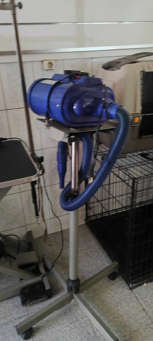 Aluga se espaço para banhos e tosquias já com todo o equipamento