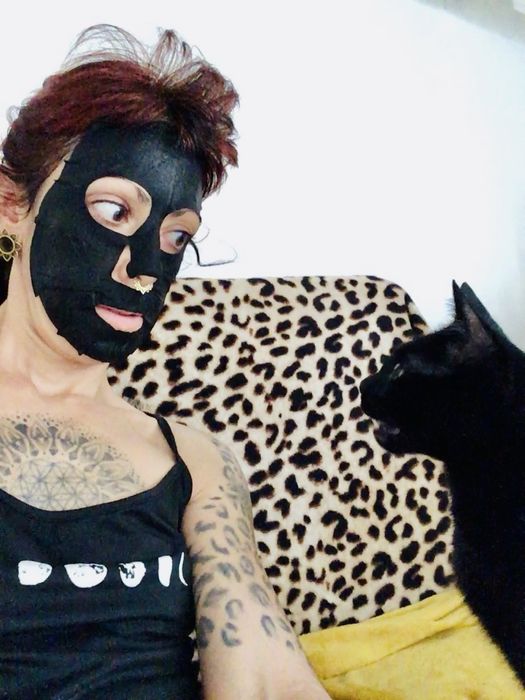 Pet-sitting de Gatos