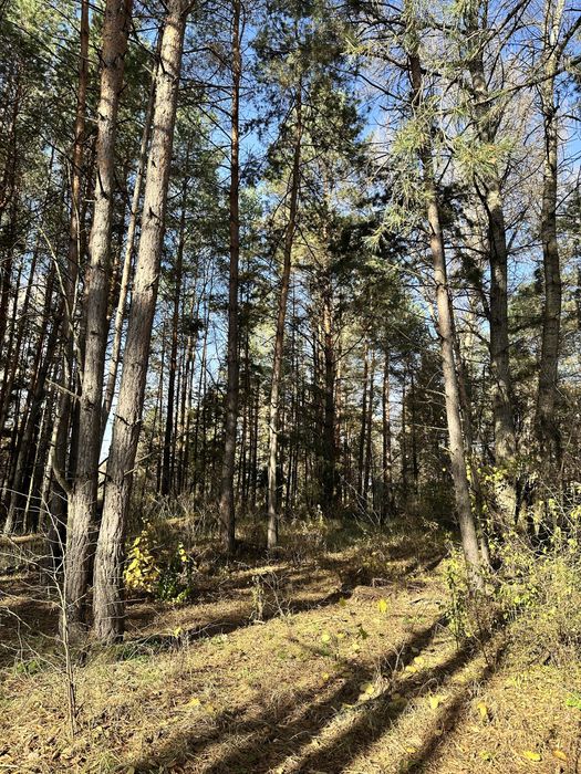 Земельні ділянки від 15 соток до 8 Га Віта Поштова