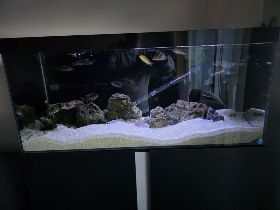 Aquário completo