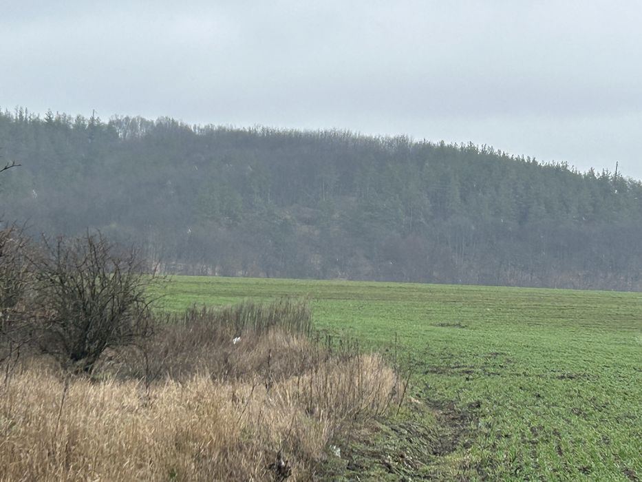 Земельна ділянка 2га ОСГ с.Жуківці Киівська область