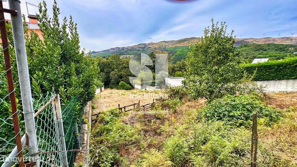 Terreno em Vila real