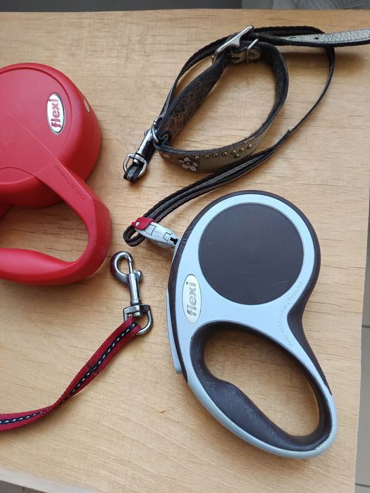 Поводок -  рулетка для собак