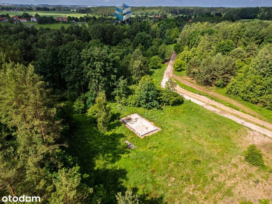 Zwierzewo | projekt | pozwolenie | Szeląg Wielki - Widok 6