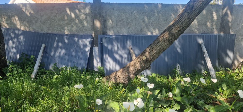 12 chapas lacadas a 7012