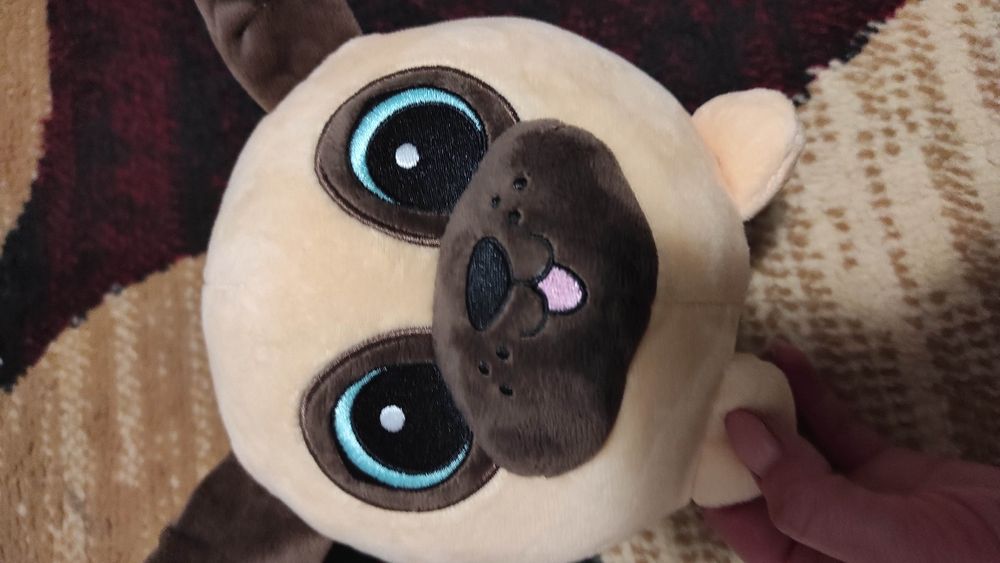 Gang Bystrzaków -pies