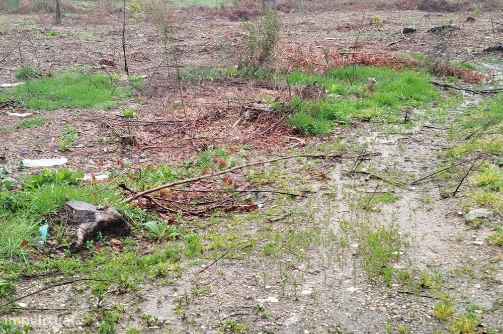 Terreno Urbanizável – O Local Perfeito para Construir a Sua Moradi...