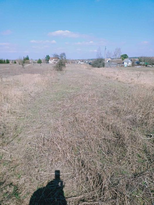 Земельна ділянка під садівництво с. Буки Житомирський район
