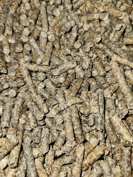 Wysłodki buraczane suche melasowane