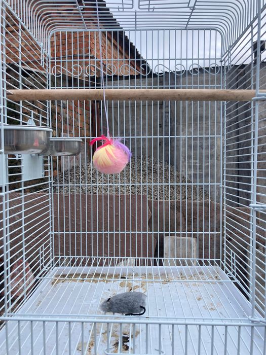 Клітка для великого птаха