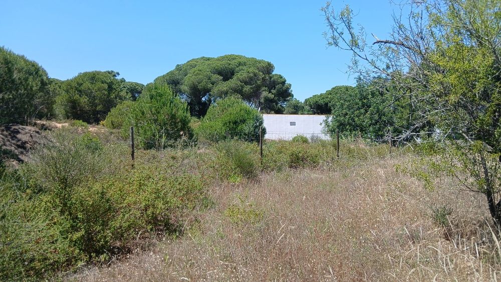 Terreno perto vila sol Quarteira