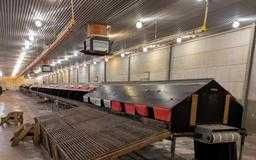 Gniazdo automatyczne Jansen