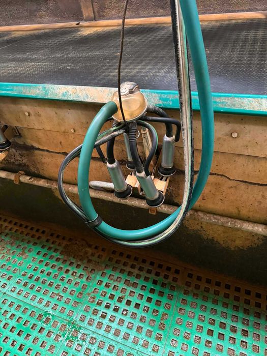 Hala udojowa Westfalia GEA 2x16 Swingover 50°