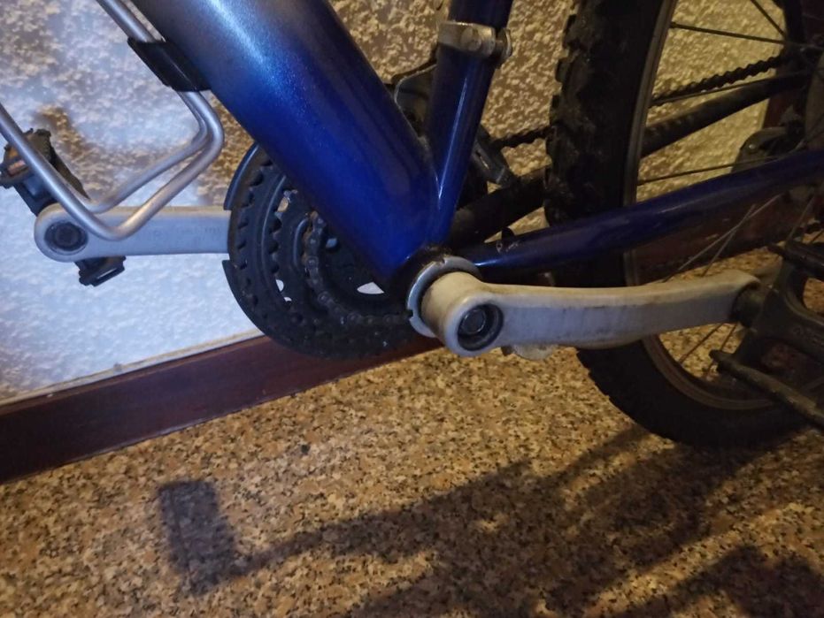 Large bicycle / 6-speed Shimano / Brand: Alberto Silva.64297818465665123