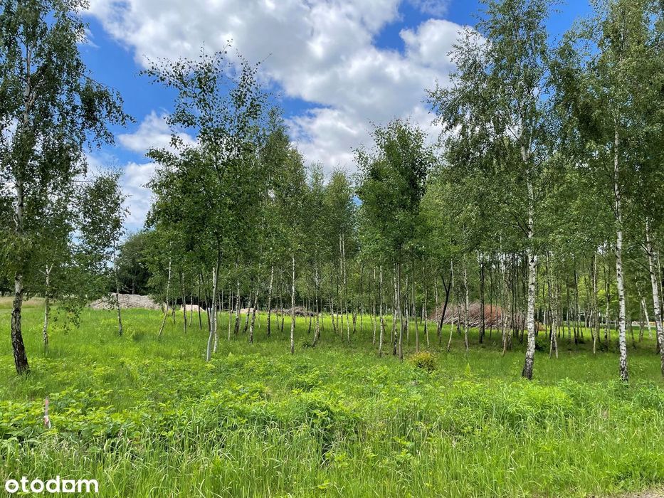 Atrakcyjna działka budowlana blisko Częstochowy 1615 m² - Widok 5