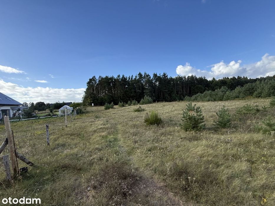 Działka budowlana Bojano 1849 m² - Widok 5
