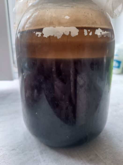 Зелений грецький горіх.