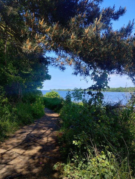 Domki nad morzem Bursztynowe Chatki