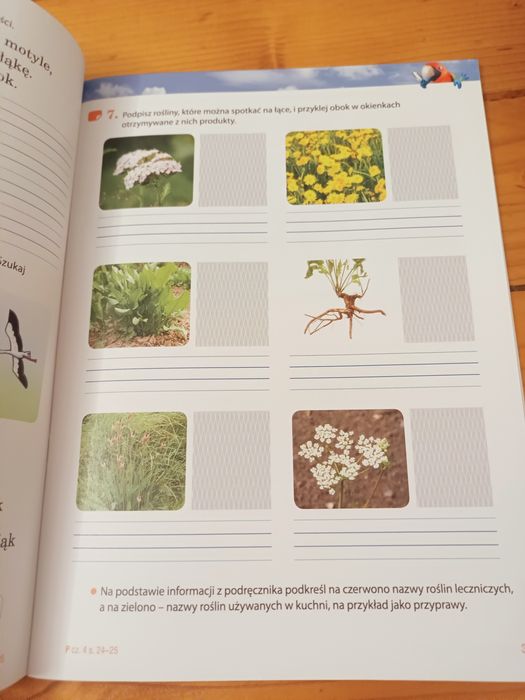 Elementarz odkrywców. Klasa 2. Część 4 Praca zbiorowa Nowa Era