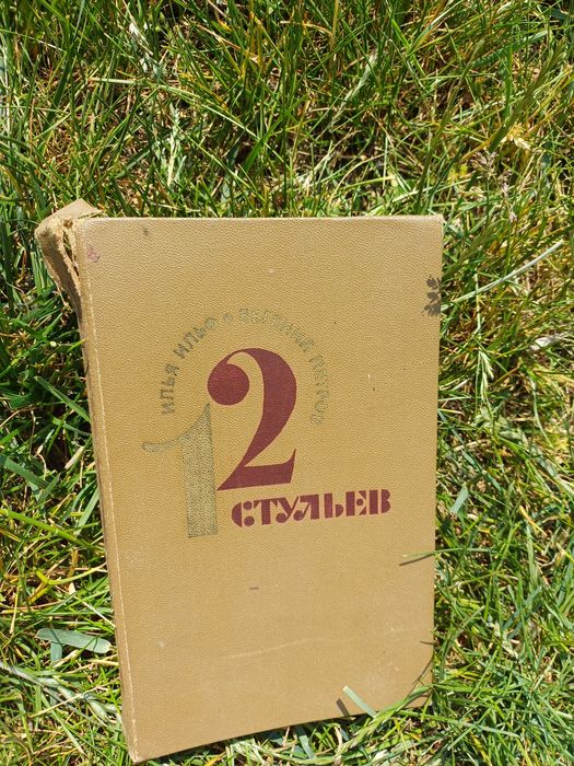 12 стульев стан на фото, розірвана, листки цілі